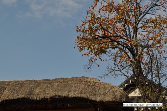 DSC_0200.JPG?type=w3