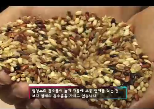 더힐링푸드 이미지