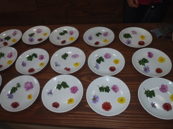 PA280293.JPG?type=w3