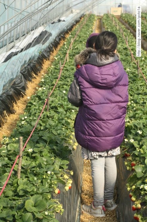 IMG_9211.JPG?type=w2