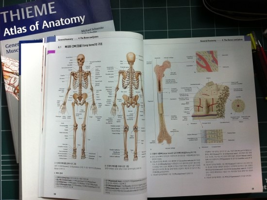 인체해부학(1﻿) 총론 및 근육뼈대계통 'THIEME Atlas of Anatomy General ...