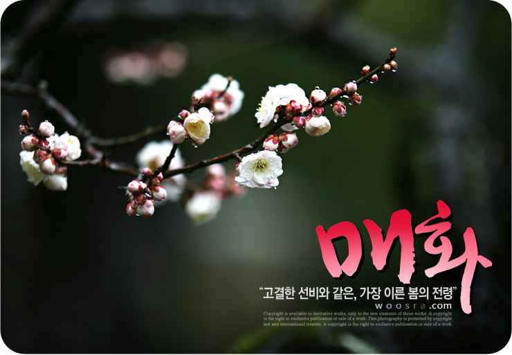 사진연구소 이미지