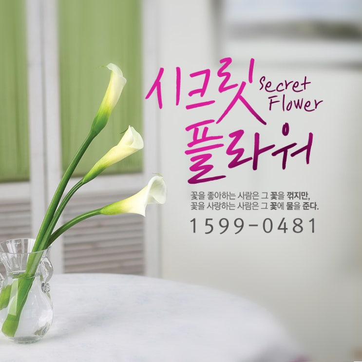 My Image 20