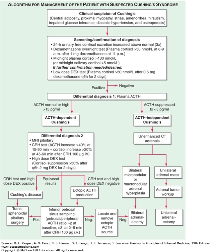 쿠싱 증후군, 진단, Cushing’s syndrome, diagnosis (해리슨 19판) 네이버 블로그