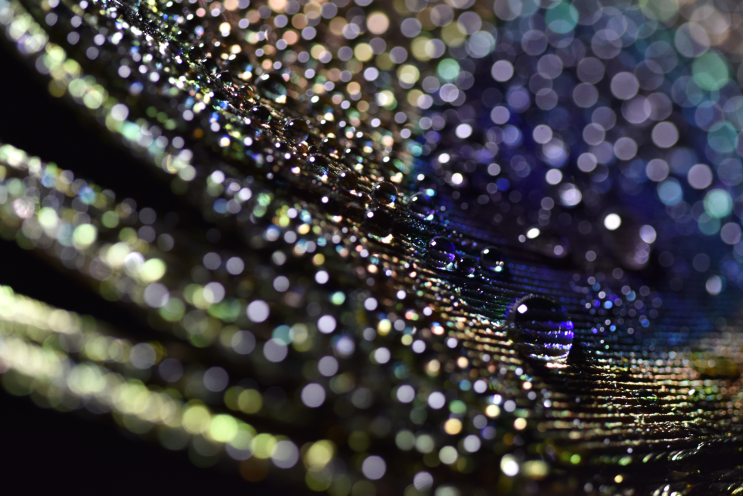 f017_mike_moats_coloufuldots_201512229.p