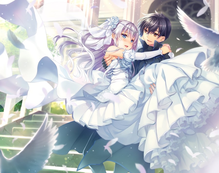 Seirei Gensouki Light Novel Volume 9