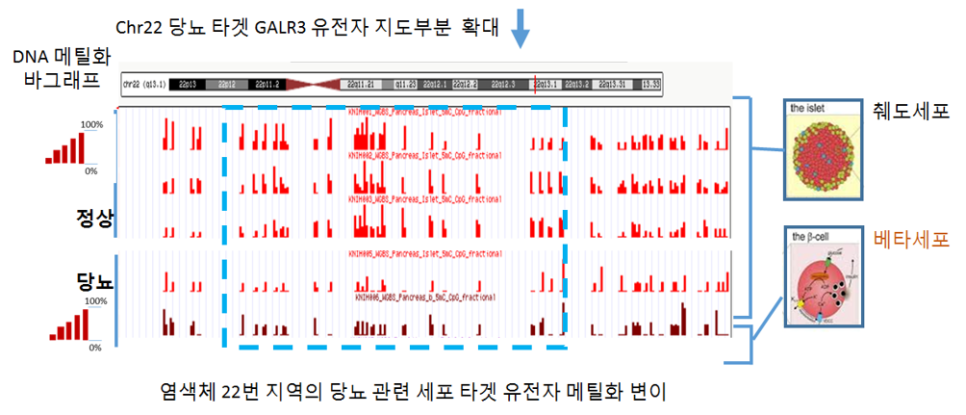 후성 이미지
