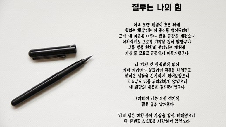 기형도 질투는나의힘 해설 질투는나의힘 해석 네이버 블로그