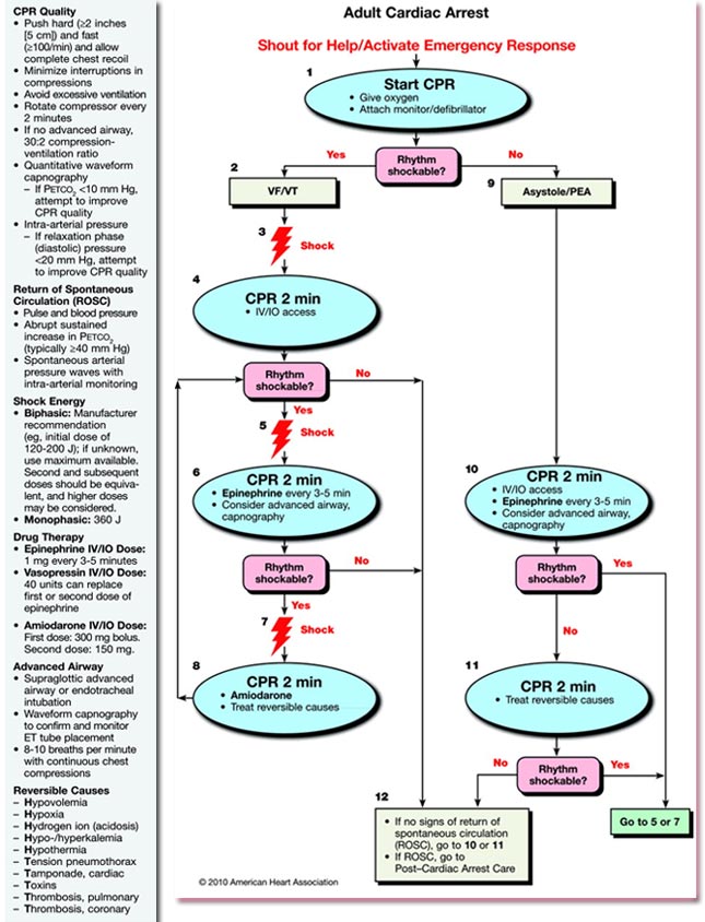 VF Pulseless VT Case 2010 AHA Guidelines For CPR And ECC vf pulseless vt case 2010 aha guidelines for cpr and ecc